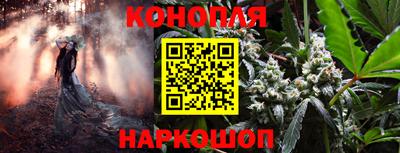 гашик Славянск-на-Кубани