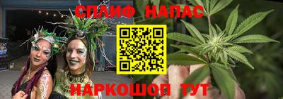 гашик Славянск-на-Кубани