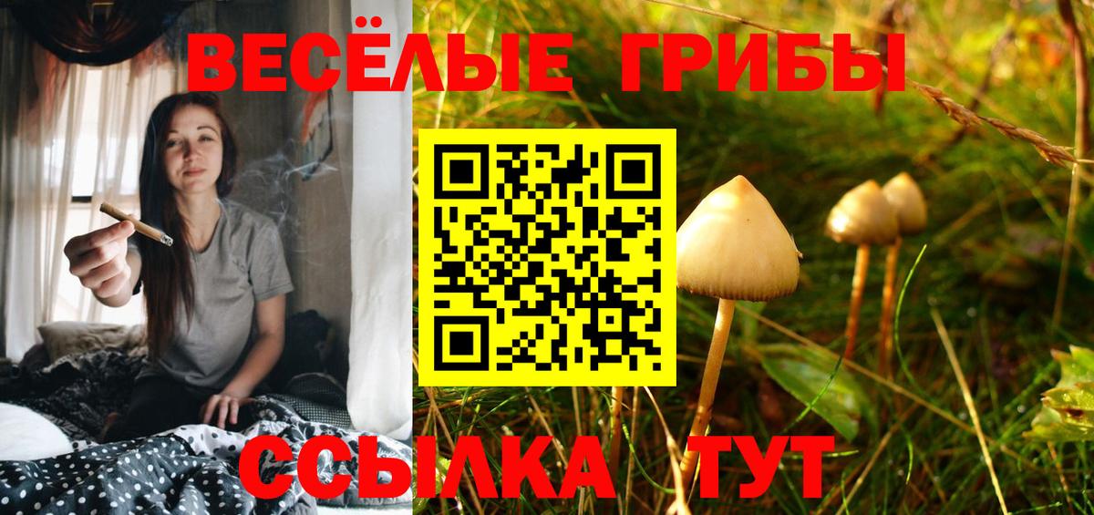 Новочеркасск  Псилоцибиновые грибы Psilocybine cubensis  Вход с VPN 