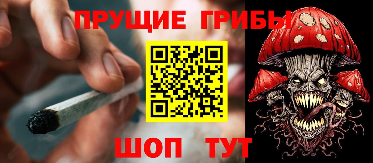 Галлюциногенные грибы прущие грибы Новочеркасск